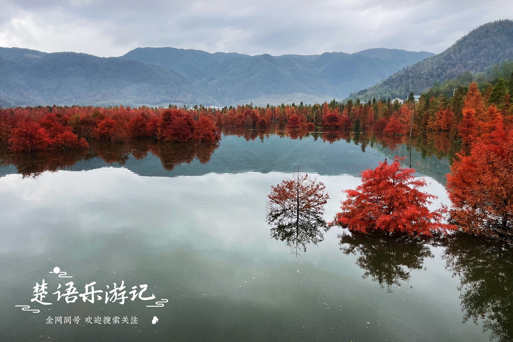 浙江这里湖光山色，被称为台州的香格里拉，红树林美得令人心醉休闲区蓝鸢梦想 - Www.slyday.coM