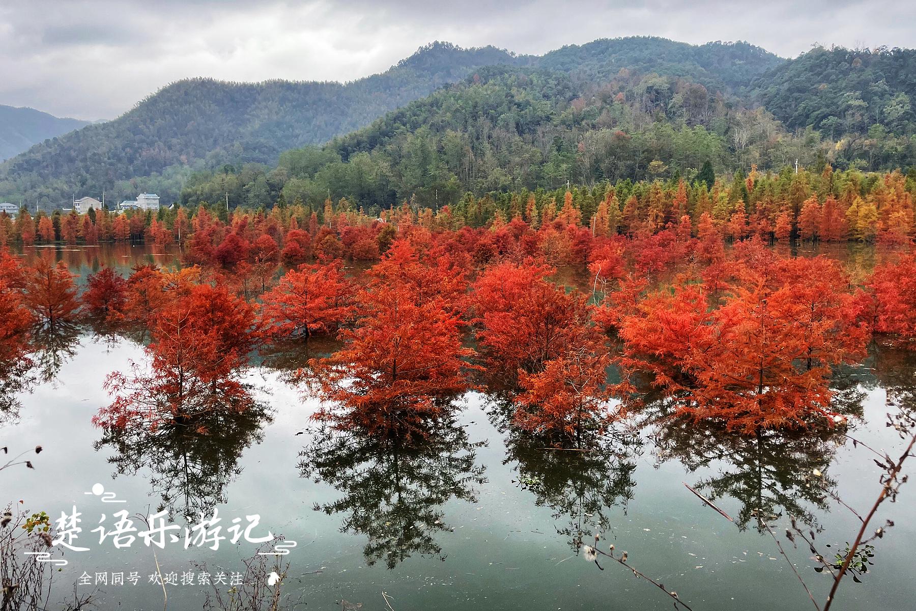 浙江这里湖光山色，被称为台州的香格里拉，红树林美得令人心醉休闲区蓝鸢梦想 - Www.slyday.coM