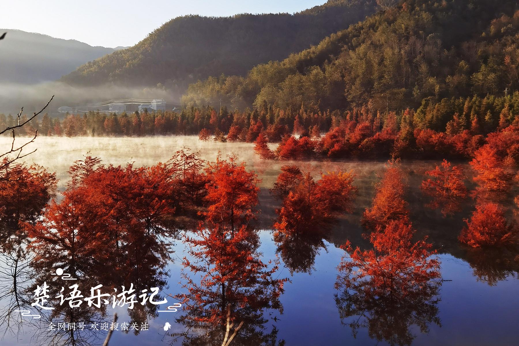 浙江这里湖光山色，被称为台州的香格里拉，红树林美得令人心醉休闲区蓝鸢梦想 - Www.slyday.coM