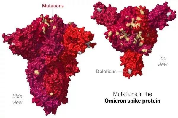 IT|南非研究表明感染Omicron变种毒株能增强对Delta的中和免疫力
