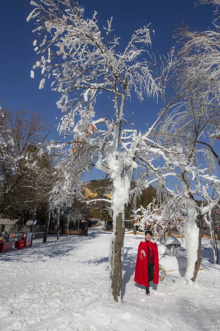 齐鲁雪乡跑马岭