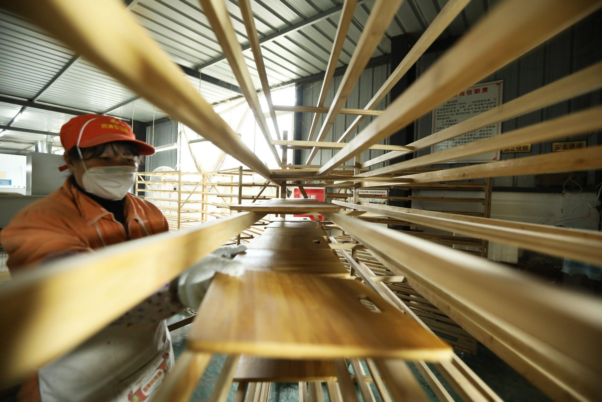 贵州赤水:深耕竹产业 增绿又增收