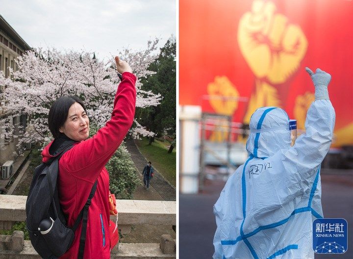 △拼版照片：左图为2021年3月13日，周国红在武汉大学樱花树前拍照留念。右图为2020年2月12日，周国红在武汉体育中心方舱医院前竖起拇指为自己和同伴加油。2020年春天，作为安徽援鄂医疗队的一名队员，周国红奔赴武汉，用生命守护生命。2021年的春天，她再次来到武汉，参加武汉大学举办的援鄂抗疫医护人员赏樱专场。珞珈山下，樱花大道如诗如画，周国红在志愿者陪伴下一路赏景，嘴角始终挂着微笑。