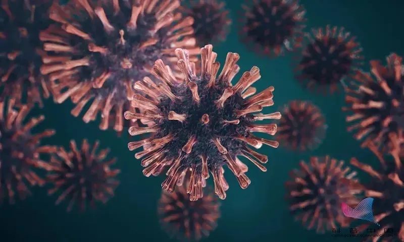 长沙检出2例奥密克戎变异株感染者，系入境闭环管控人员休闲区蓝鸢梦想 - Www.slyday.coM