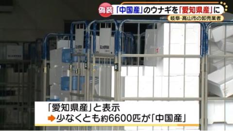 日本批发商将中国鳗鱼伪造成日本国产 造假5年被发现后道歉休闲区蓝鸢梦想 - Www.slyday.coM