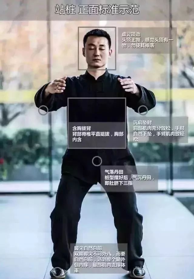 每天5分钟,换个动作站一站|站桩|笼屉|百会_新浪新闻