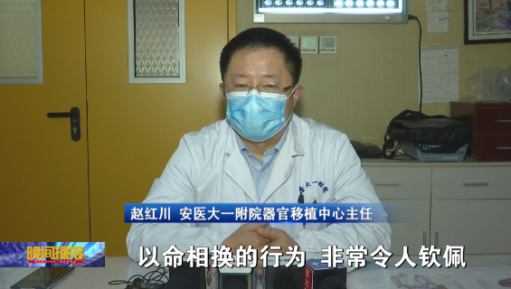 她在合肥割肝救弟!|合肥市_新浪新闻