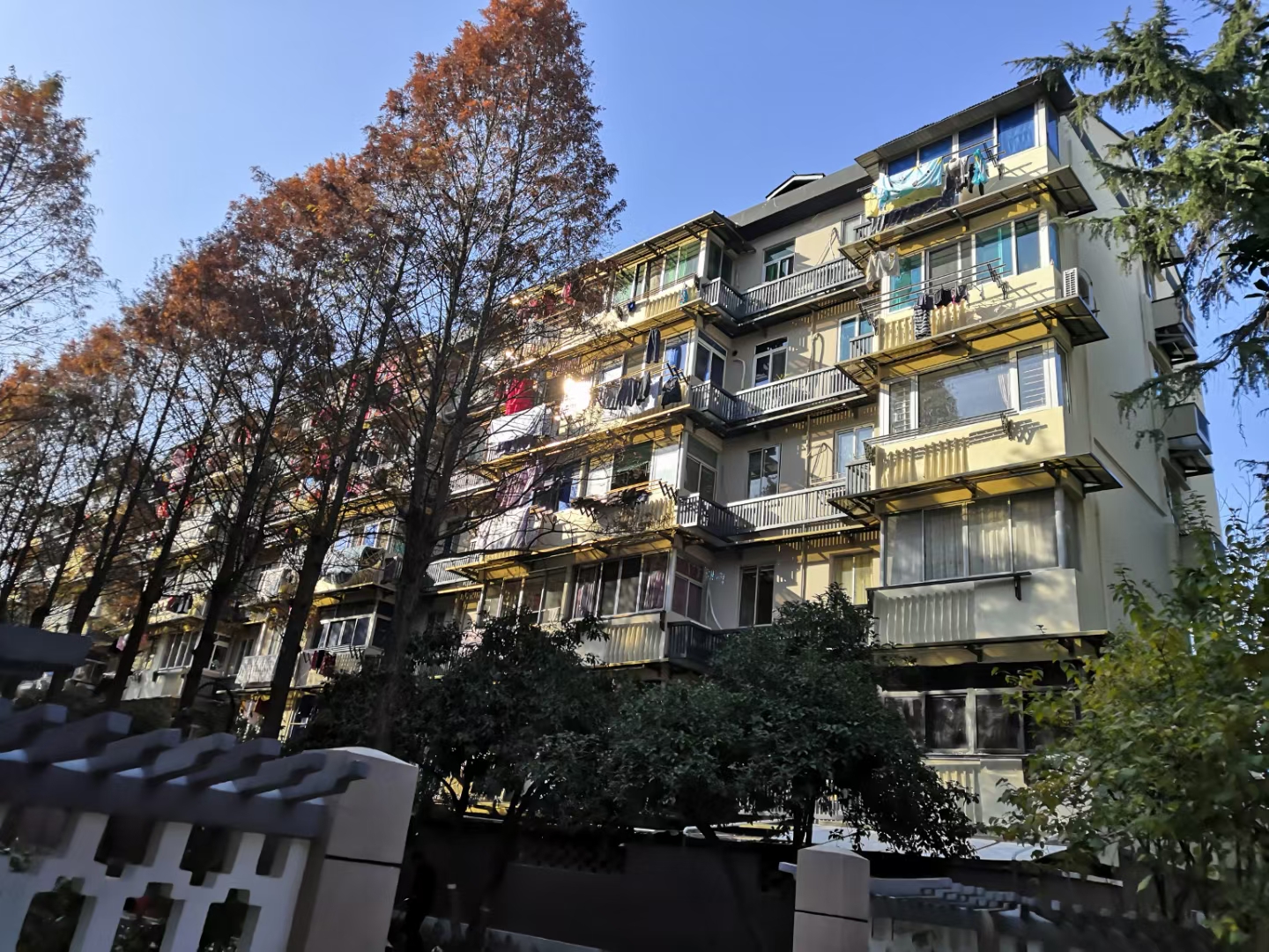 国内设计界"大咖"操刀 和睦新村首幢改造样板楼"出炉"