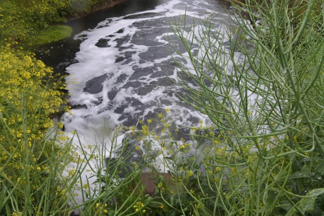 调查:1升污染100万升水,长江正遭遇油污水\