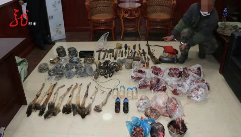 猎枪子弹钢丝套男子持枪非法狩猎梅花鹿67狍子野猪紫貂藏匿家中