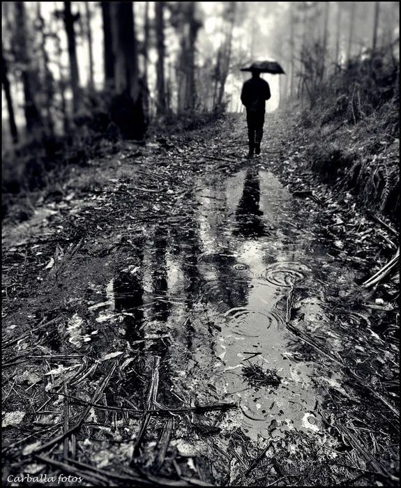 雨中背影男生图片