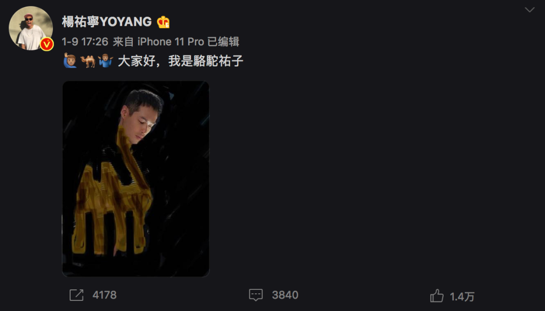 还有人说,杨祐宁表演时的表情变化太少。