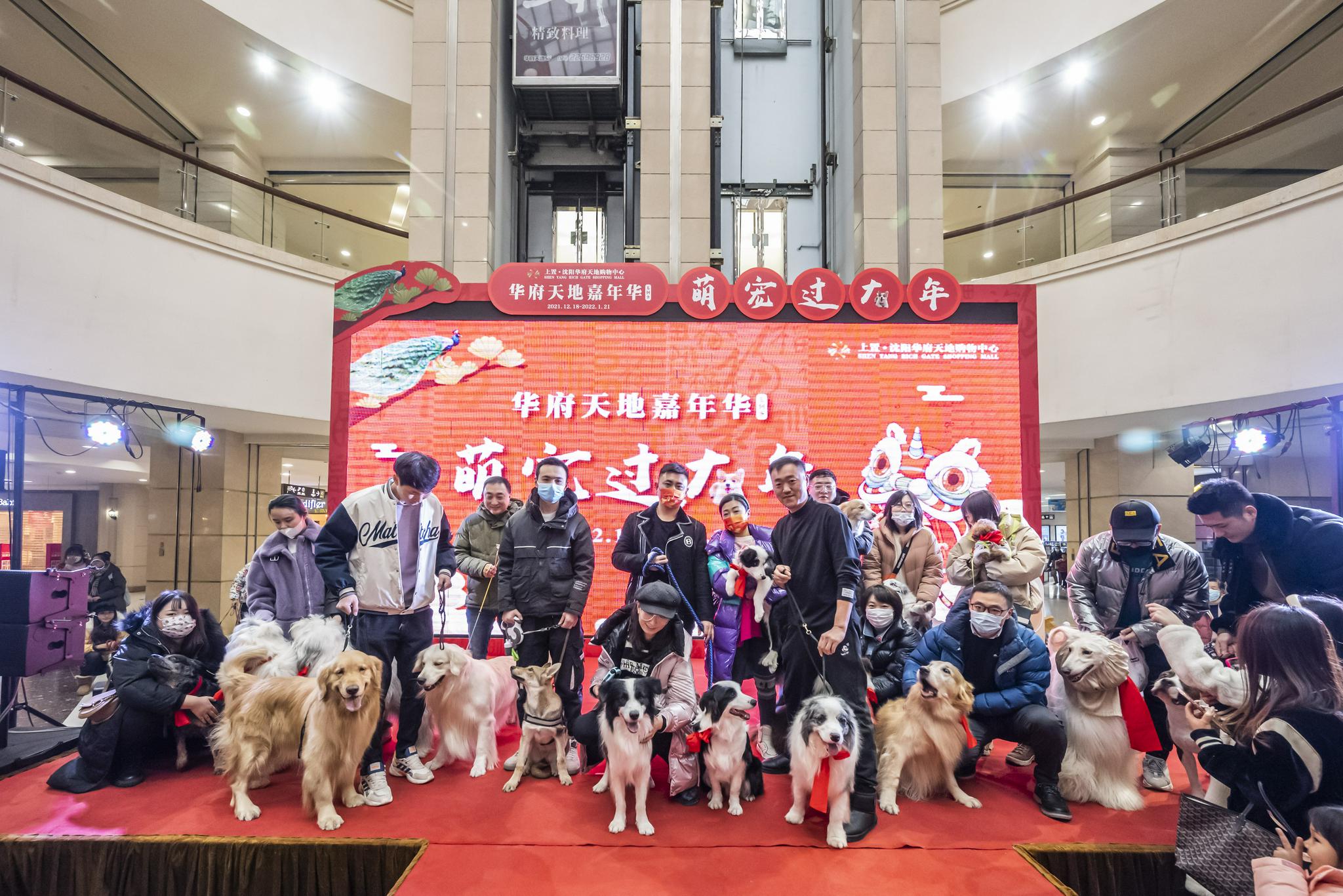 华府天地嘉年华萌宠过大年