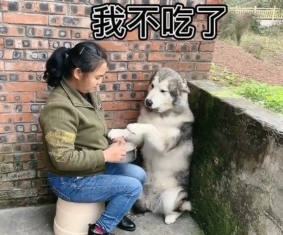 有一种冷叫你奶奶觉得你冷