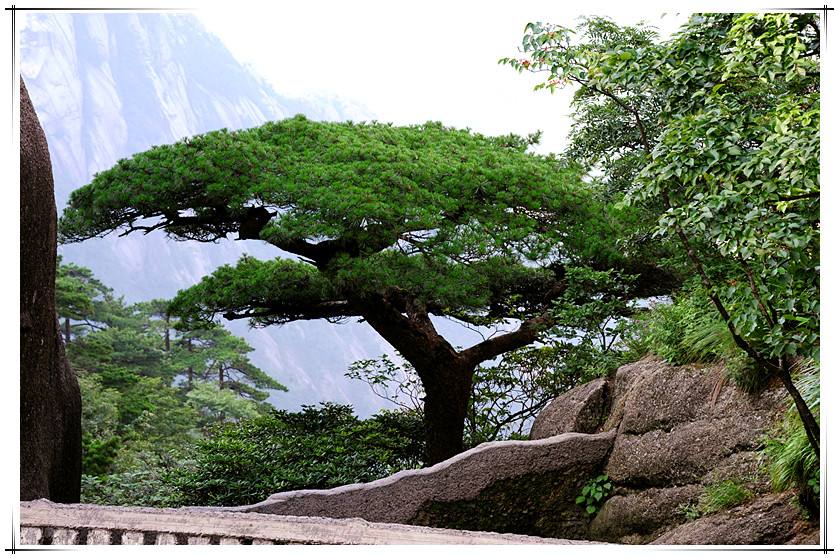 胃痛患者的四大法宝