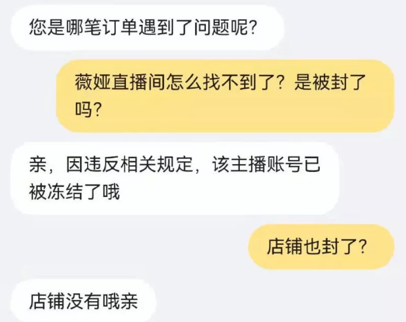 薇娅账号被封了！旗下百位员工或将裁员，经纪人通知：先带薪休假休闲区蓝鸢梦想 - Www.slyday.coM