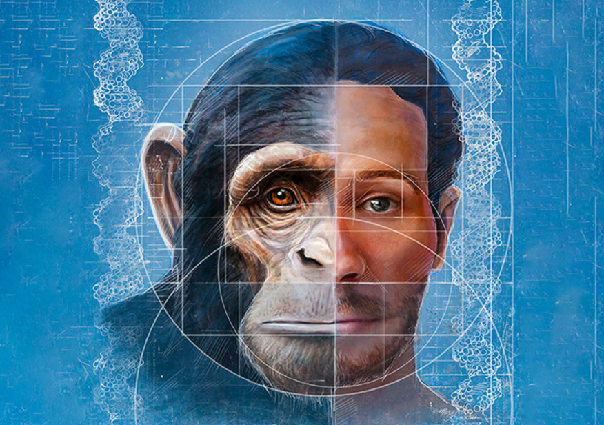 地外文明产物,猿类进化,人类咋来的,地球上第一个人是男是女?