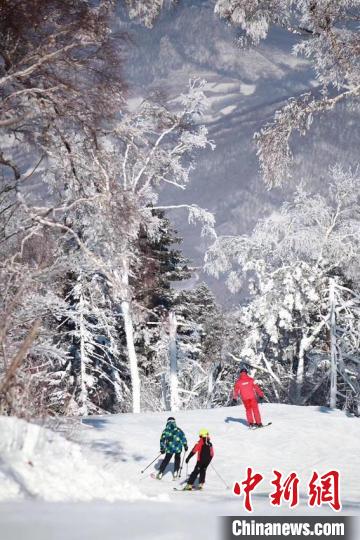 年轻人驰骋雪道 吉林市冰雪经济高质量发展试验区供图