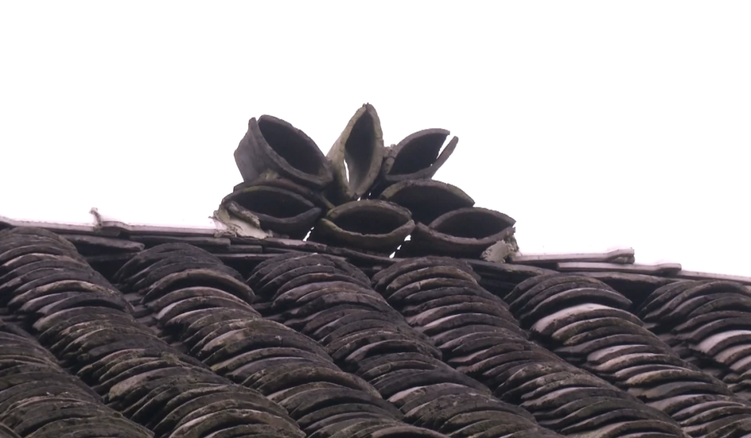 贵州一户村民在老屋挖到神秘坛子！里面竟装了100年前的鸦片！休闲区蓝鸢梦想 - Www.slyday.coM