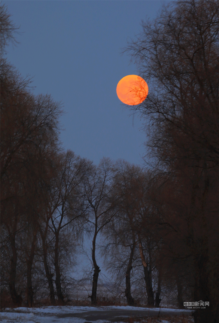 年度最小满月亮相超级小月亮也是那么美