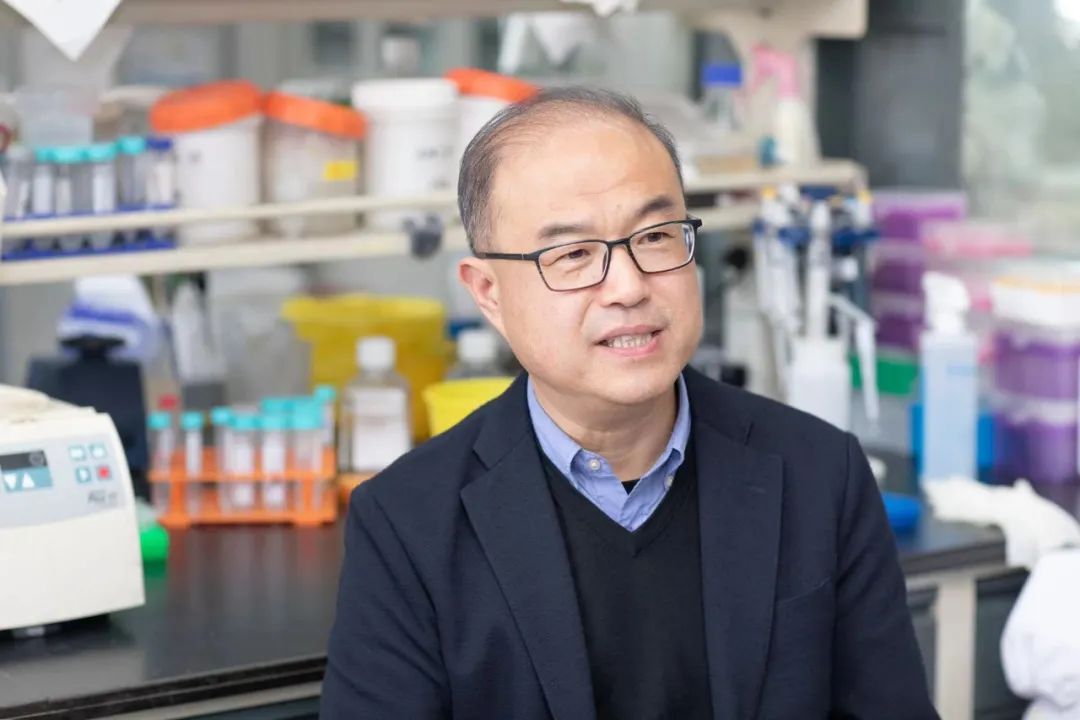 中国首款抗新冠特效药输完就见效！休闲区蓝鸢梦想 - Www.slyday.coM