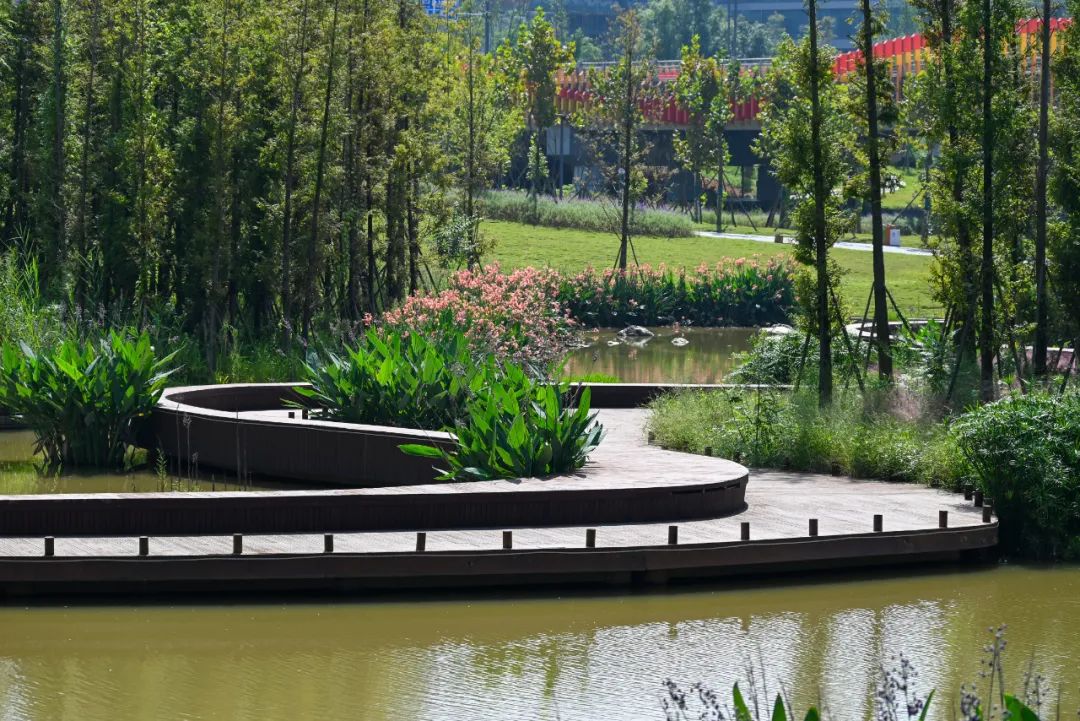 0版来了!|绿色低碳|成都市|生态环境_新浪新闻