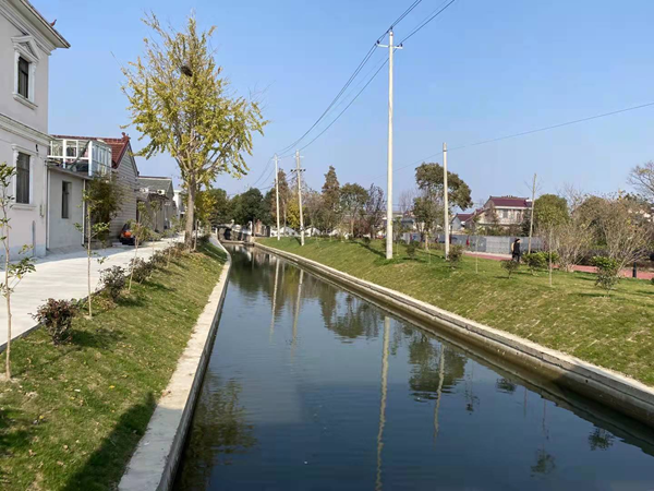 兴化兴东镇村庄大变样村民心里乐