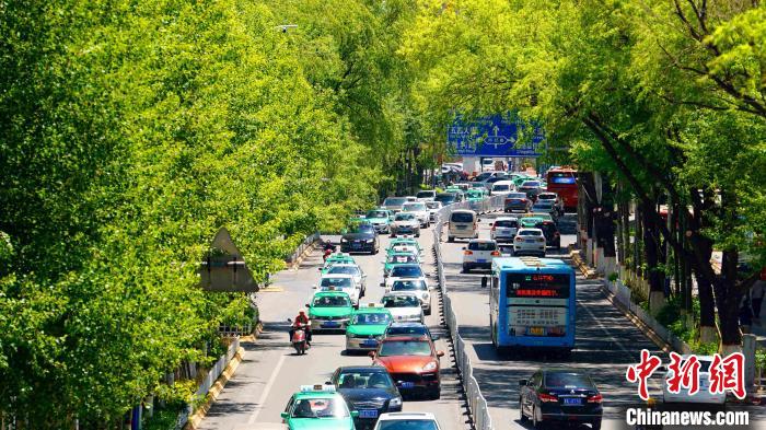 图为西宁市西关大街街景。(资料图) 黎晓刚 摄