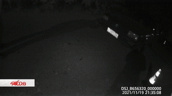 醉驾撞人逃逸！被交警抓到时还在车内酣睡休闲区蓝鸢梦想 - Www.slyday.coM