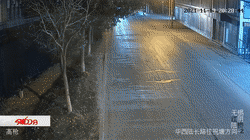 醉驾撞人逃逸！被交警抓到时还在车内酣睡休闲区蓝鸢梦想 - Www.slyday.coM