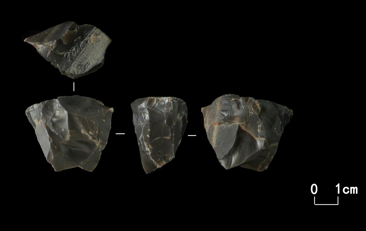 天津太子陵旧石器时代遗址新发掘出土石制品标本158件