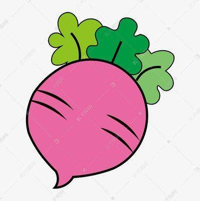 当代散文一季萝卜四季菜