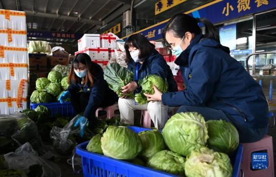 陕西米禾供应链管理股份有限公司的工作人员在分拣蔬菜(12月19日摄)。新华社记者 刘潇摄