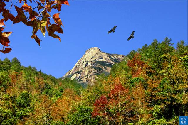 中国岭南避暑胜地休闲区蓝鸢梦想 - Www.slyday.coM