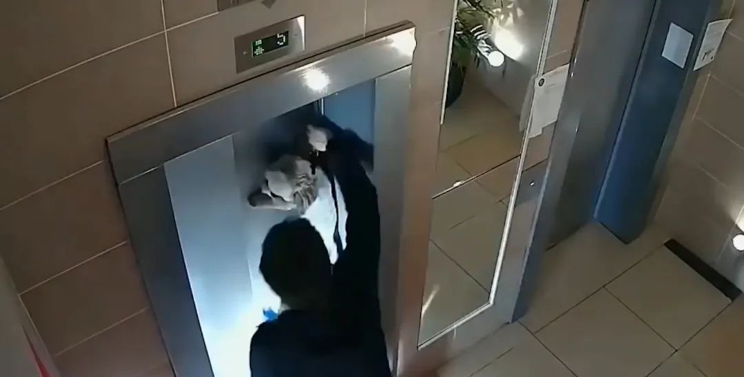 狗狗被主人遗忘身后,被电梯门卡住,悬挂半空挣扎呼救休闲区蓝鸢梦想 - Www.slyday.coM 狗狗被主人遗忘身后,被电梯门卡住,悬挂半空挣扎呼救休闲区蓝鸢梦想 - Www.slyday.coM