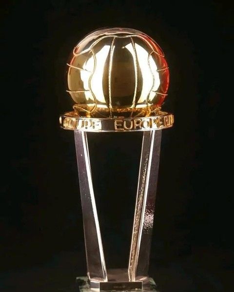 曾经每年底的重头戏:丰田杯|丰田杯|重头戏|南美_新浪新闻