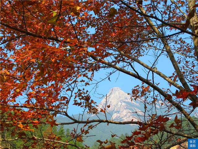 中国岭南避暑胜地休闲区蓝鸢梦想 - Www.slyday.coM