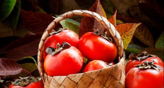 马上就冬至，家里要有的3种“富贵果”，寓意百年好合幸福美满休闲区蓝鸢梦想 - Www.slyday.coM