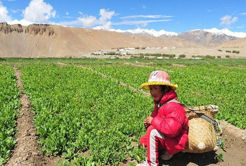 女孩15岁未婚生子，狠心送养，40年不闻不问，孩子当官后追认休闲区蓝鸢梦想 - Www.slyday.coM