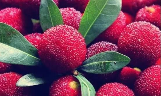 马上就冬至,家里要有的3种“吉吉果”,寓意五福临门吉祥如意休闲区蓝鸢梦想 - Www.slyday.coM 马上就冬至,家里要有的3种“吉吉果”,寓意五福临门吉祥如意休闲区蓝鸢梦想 - Www.slyday.coM