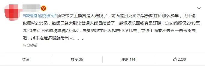 薇娅逃税被罚13.4亿，比范冰冰还多，行业整顿或提前到来休闲区蓝鸢梦想 - Www.slyday.coM