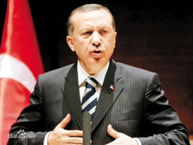 　　土耳其总统雷杰普·塔伊普·埃尔多安