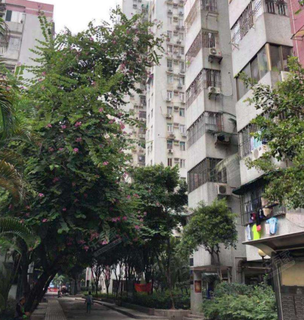 梅园新村百花洲华业苑三龙居官田花园新村城南区侨新苑华山楼华南植物