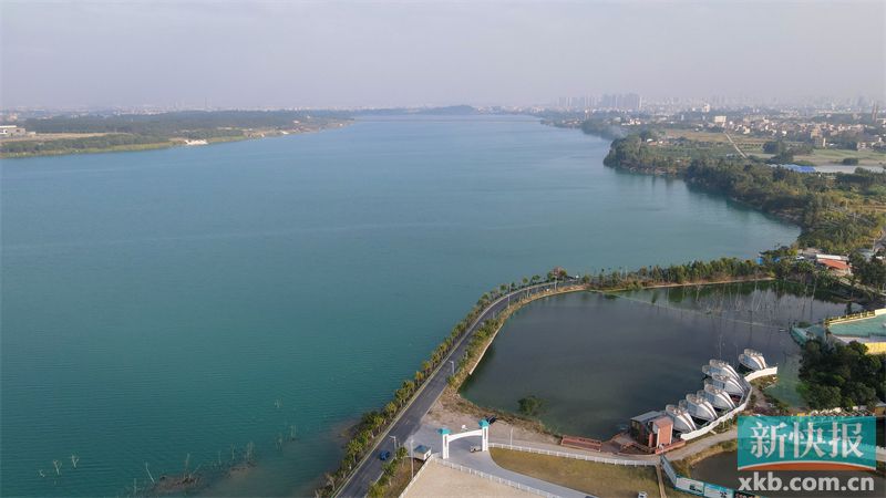 珠海市驻茂名市茂南区公馆镇帮镇扶村工作队养肥罗非鱼还要讲好鱼的