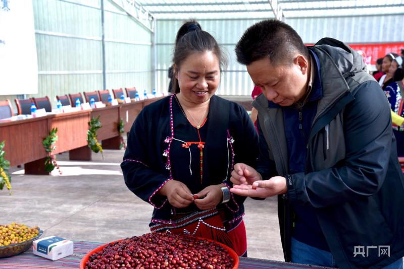 叶萍参加咖啡生豆大赛（央广网发 孟连县委宣传部供图）