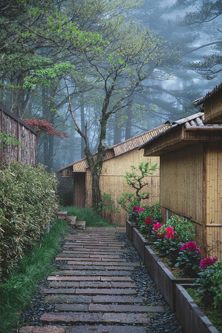 威利梦游仙境_威利梦游仙境最新消息,新闻,图片,视频_聚合阅读_新浪网