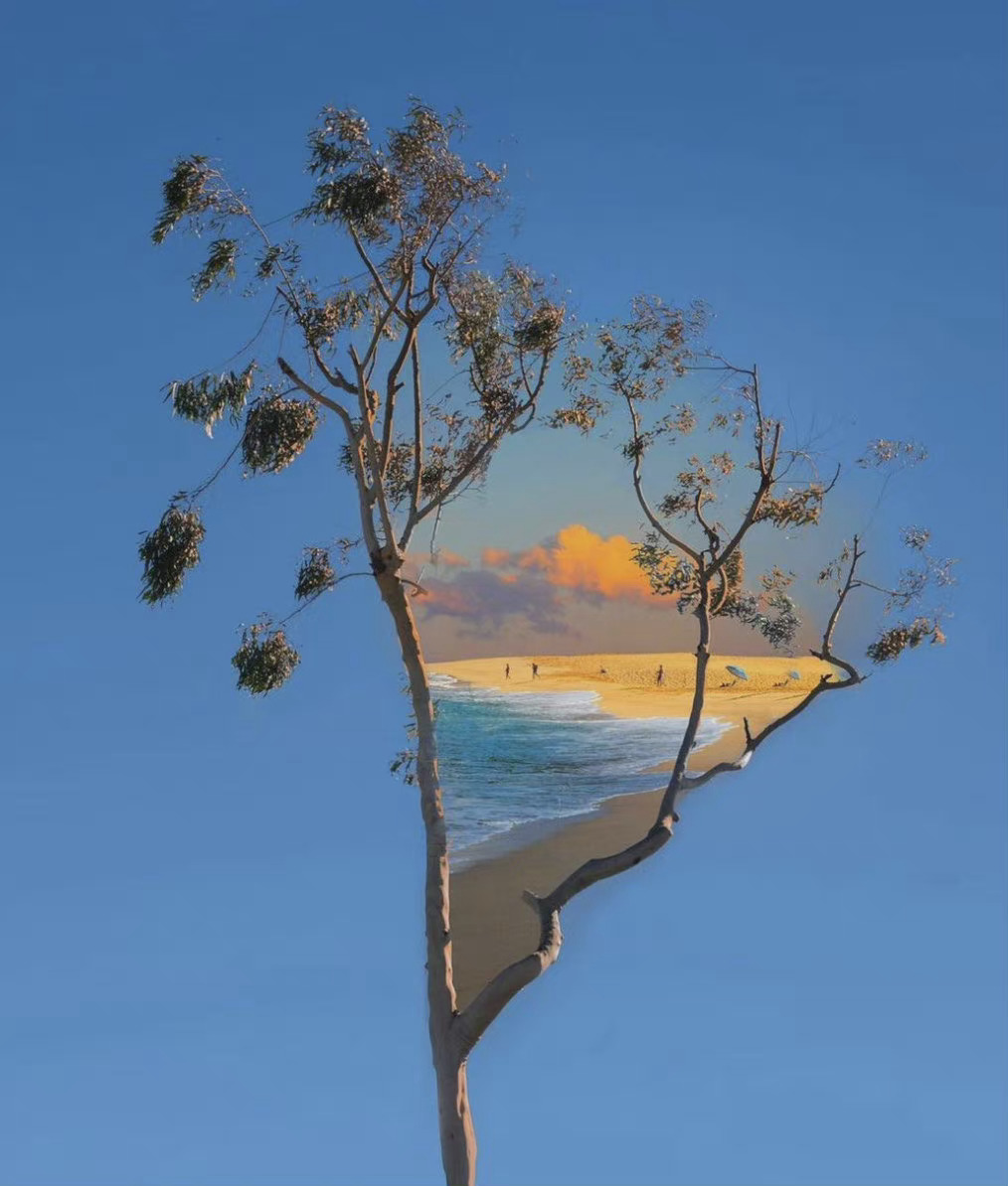 韩裔艺术家kangheekim定居在布鲁克林