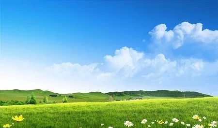 那个跛脚女孩,那个现在他才知道叫林美霞的女孩,她和自己十年前因癌症