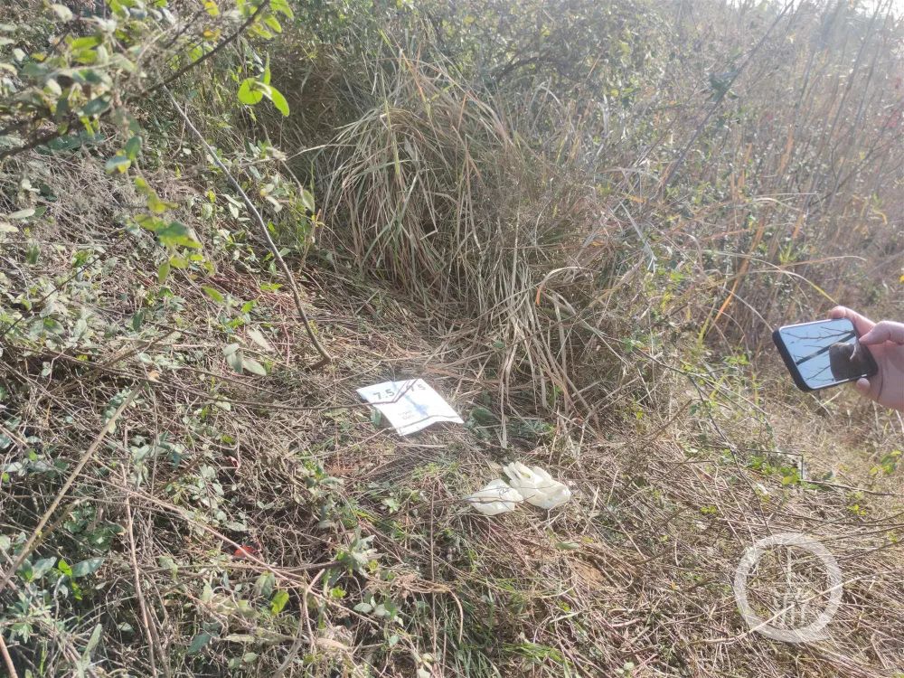 偷猎者误把躲草丛女子当野猪射击，埋尸50公里外荒野工地休闲区蓝鸢梦想 - Www.slyday.coM