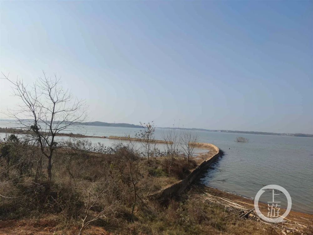 偷猎者误把躲草丛女子当野猪射击，埋尸50公里外荒野工地休闲区蓝鸢梦想 - Www.slyday.coM